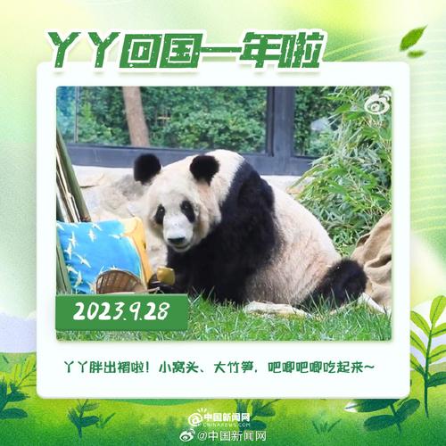 新闻中心 第427页