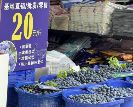 澳门开特马+开奖结果走势和进口水果价格跳水与进口水果的价格