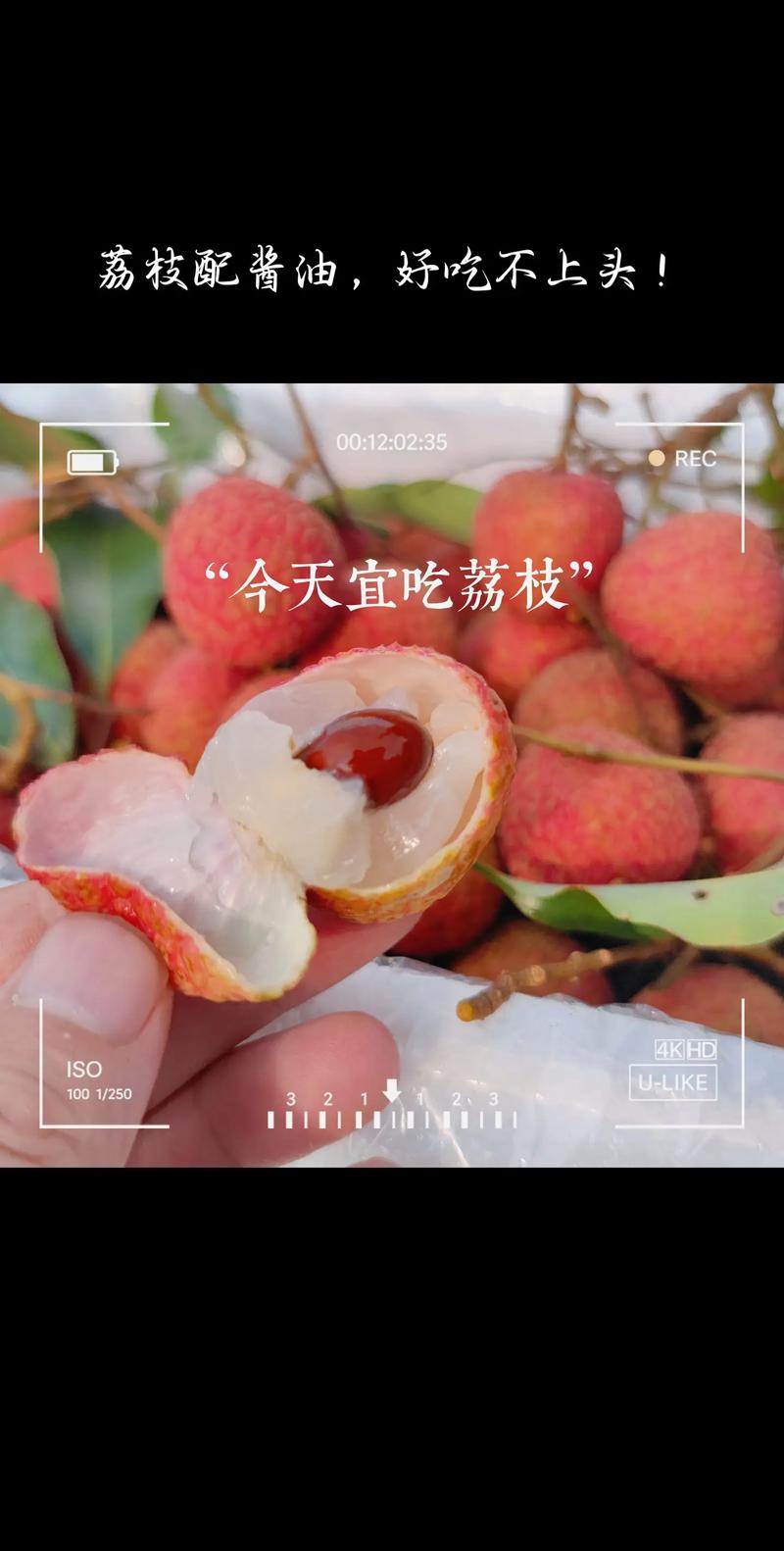 2005新澳门天天开好彩和荔枝冷藏再吃不上火与荔枝冷藏好吃吗