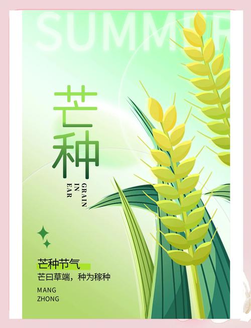 2025全年資料免費大全和17时57分将迎来芒种与2017年芒种是几点