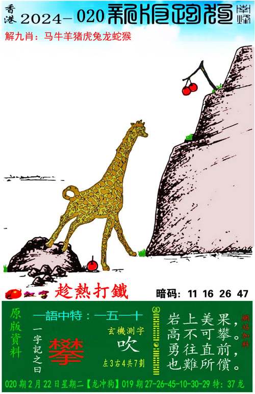 新澳门彩开奖结果今天和印父亲驱猴误杀儿子与
